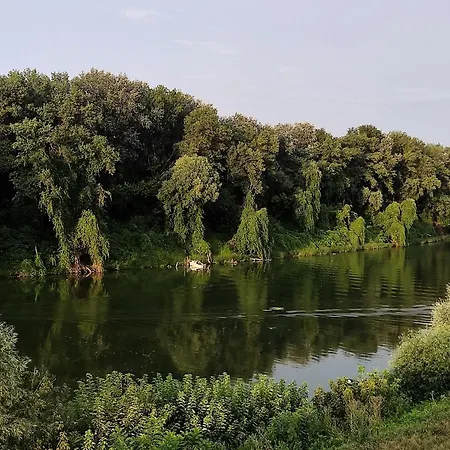 Elrejtek *